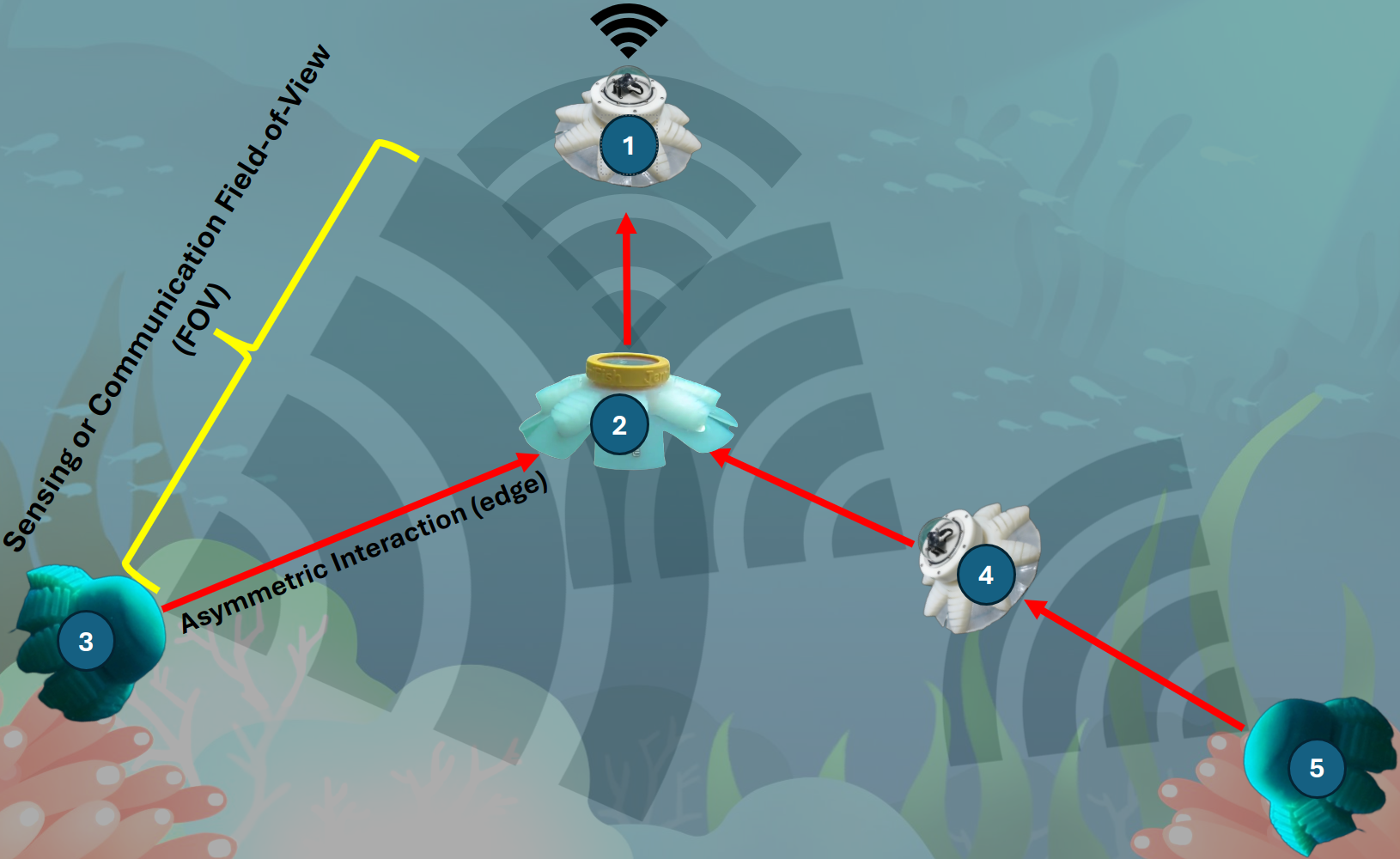 Topology Control of Asymmetrically Interacting Underwater Multi-Robot System