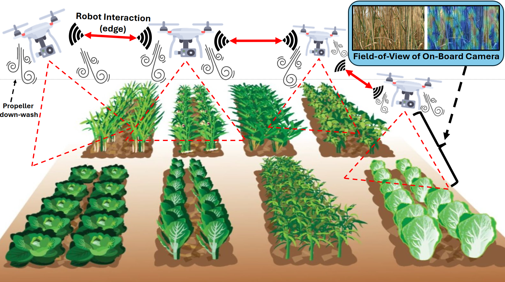 Use of Unmanned Aerial Vehicles Towards Near-Ground Active Information Acquisition Tasks in Agriculture